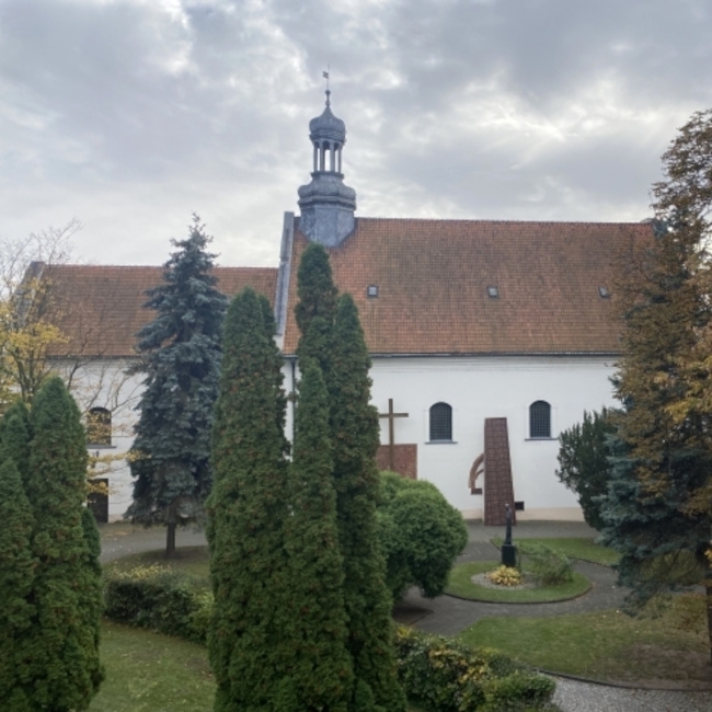 Kościół św. Dominika w Płocku